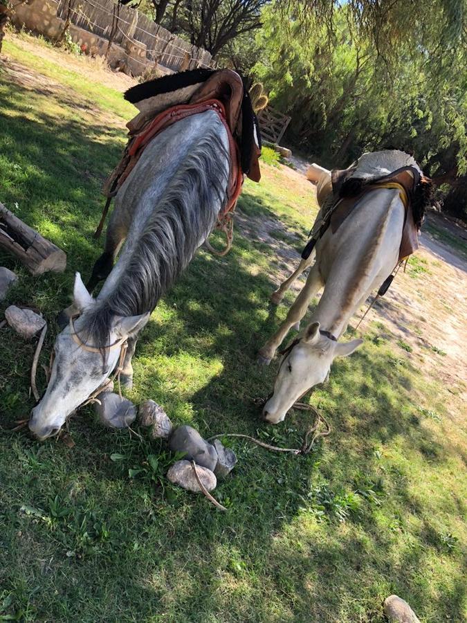 La Enramada Otel Seclantás Dış mekan fotoğraf